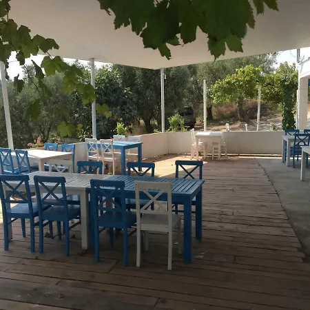 Ilica Anatoia * Orhangazi