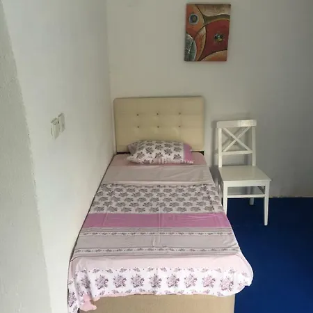 Ilica Anatoia *